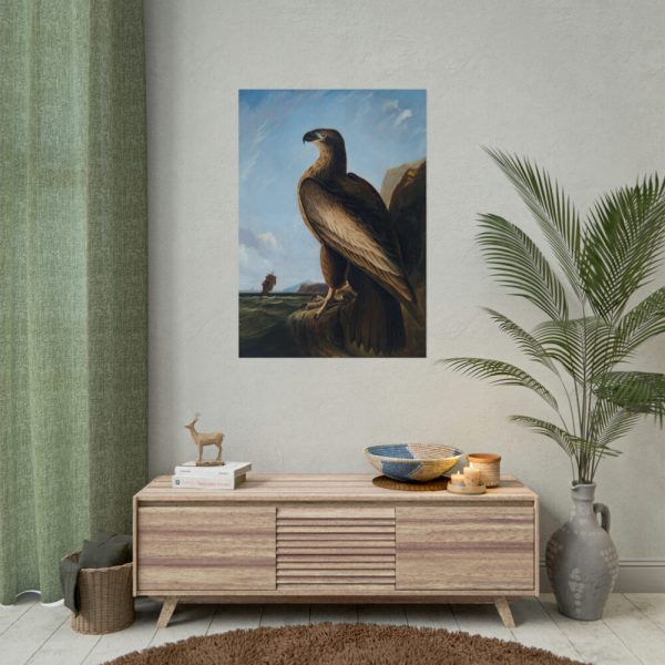 92411-63.jpg Washington Sea Eagle by John James Audubon Poster