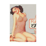 Retro Pin-up Lady Art Collag Poster - Image 6