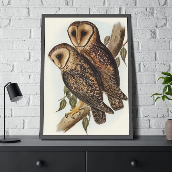 93830-31.jpg Masked Barn Owl by Elizabeth Gould Framed Poster