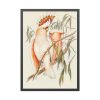 93830-32.jpg Leadbeater's Cockatoo by Elizabeth Gould Framed Poster