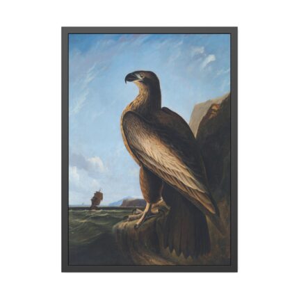 Washington Sea Eagle by John James Audubon Framed Poster