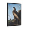 93830-45.jpg Washington Sea Eagle by John James Audubon Framed Poster