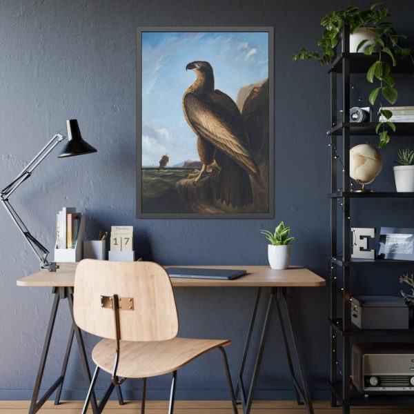 93830-46.jpg Washington Sea Eagle by John James Audubon Framed Poster