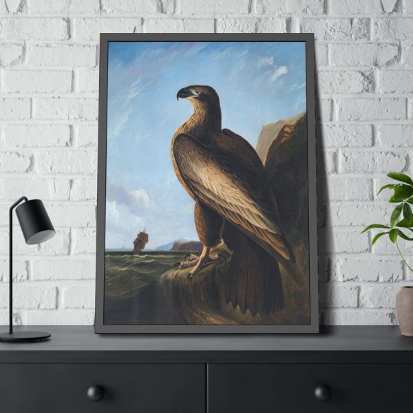 93830-47.jpg Washington Sea Eagle by John James Audubon Framed Poster