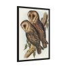 93831-29.jpg Masked Barn Owl by Elizabeth Gould Framed Poster