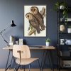 93831-30.jpg Masked Barn Owl by Elizabeth Gould Framed Poster