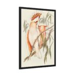 Leadbeater's Cockatoo by Elizabeth Gould Framed Poster - Image 6