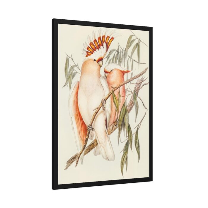 Leadbeater's Cockatoo by Elizabeth Gould Framed Poster - Image 6
