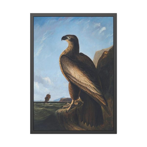 93831-44.jpg Washington Sea Eagle by John James Audubon Framed Poster