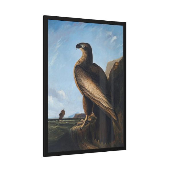 93831-45.jpg Washington Sea Eagle by John James Audubon Framed Poster