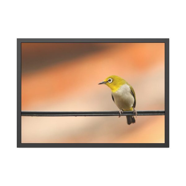 93854-100.jpg Yellow Bird Framed Poster