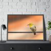 93854-103.jpg Yellow Bird Framed Poster