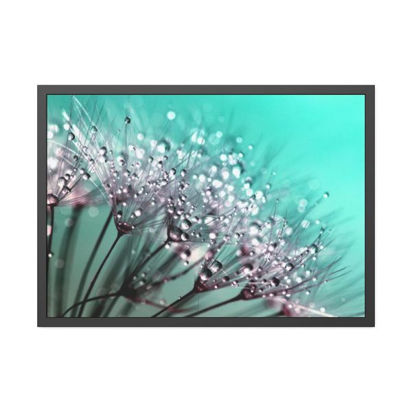 93854-108.jpg Water Droplets Dandelion Seeds Framed Poster