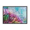 93854-112.jpg Dewdrops & Rainbows Framed Poster