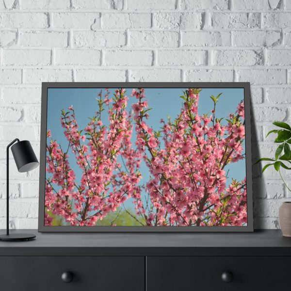 93854-159.jpg Peach Blossoms Flowering Tree Framed Poster