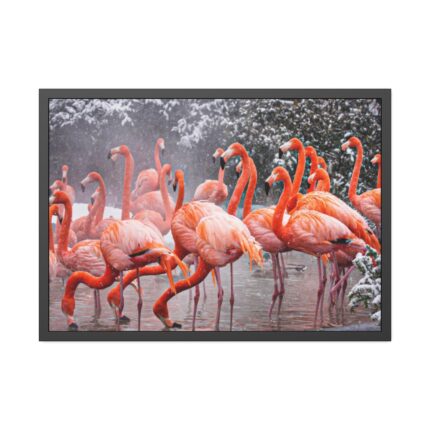 American Flamingo by Mehgan Murphy Framed Poster