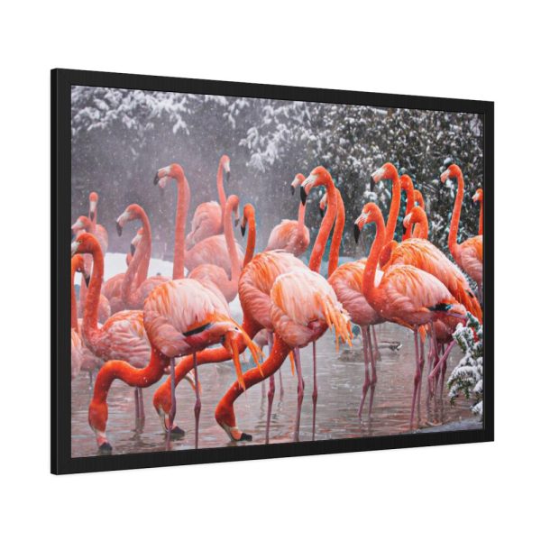 93854-173.jpg American Flamingo by Mehgan Murphy Framed Poster