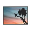 Hummingbird Framed Poster