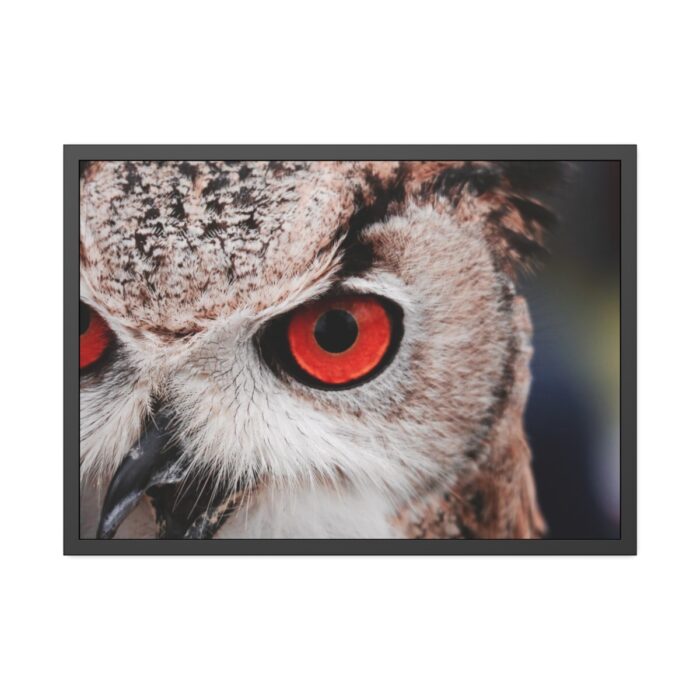 An Owl With Red Eyes Framed Poster - Image 1