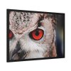 93854-205.jpg An Owl With Red Eyes Framed Poster
