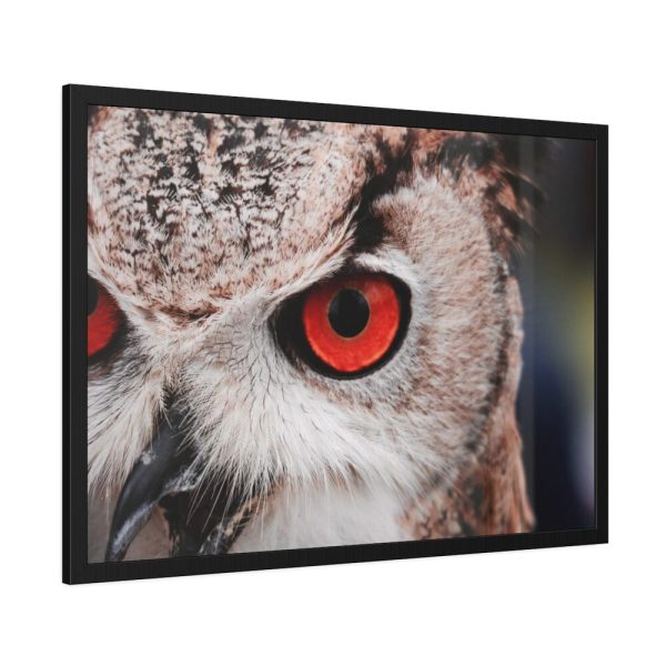 93854-205.jpg An Owl With Red Eyes Framed Poster