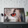 93854-207.jpg An Owl With Red Eyes Framed Poster