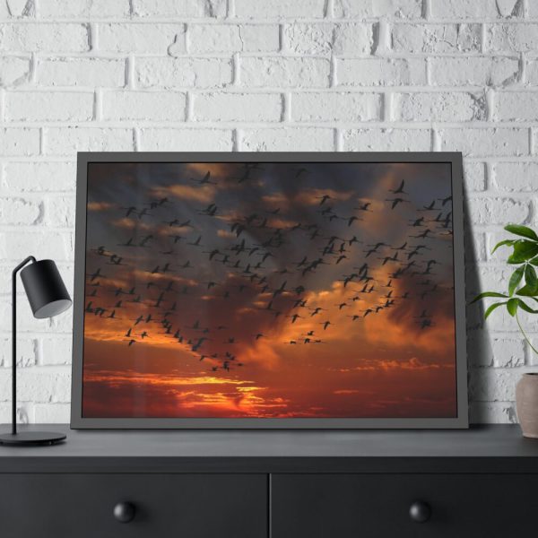 93854-211.jpg Flamingos Swarm Birds Nature Framed Poster