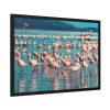 93854-229.jpg Pink Flamingo Lake Framed Poster