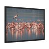93854-233.jpg Flamingos in Africa Framed Poster