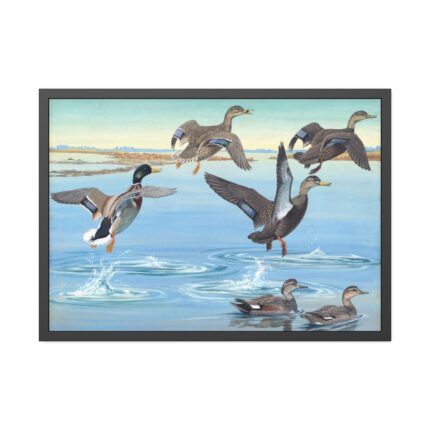 Vintage Ducks Art Framed Poster