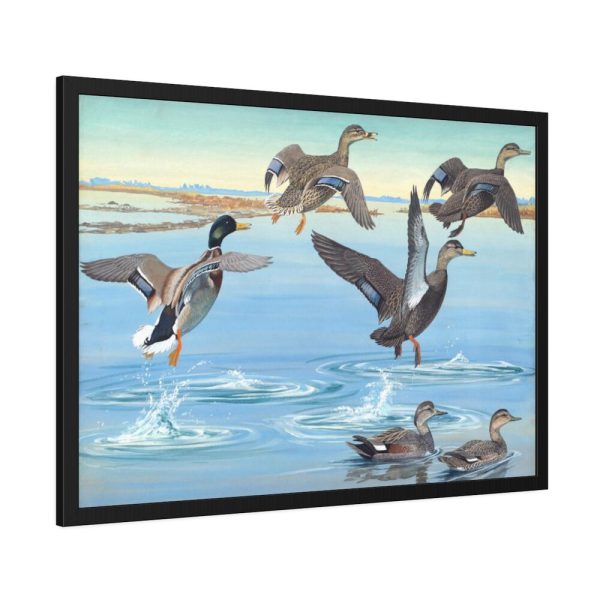 93854-449.jpg Vintage Ducks Art Framed Poster