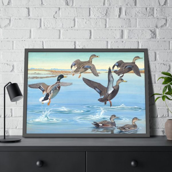 93854-451.jpg Vintage Ducks Art Framed Poster