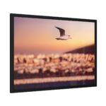 Bird Flying over Turkey Framed Poster - Image 2