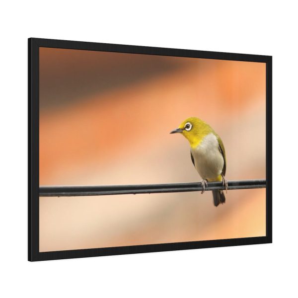 93855-101.jpg Yellow Bird Framed Poster