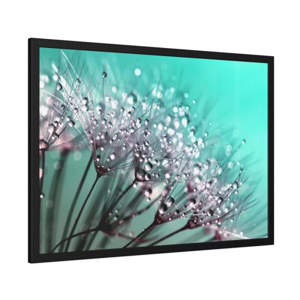 93855-109.jpg Water Droplets Dandelion Seeds Framed Poster