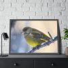 93855-143.jpg Goldfinch Bird Framed Poster