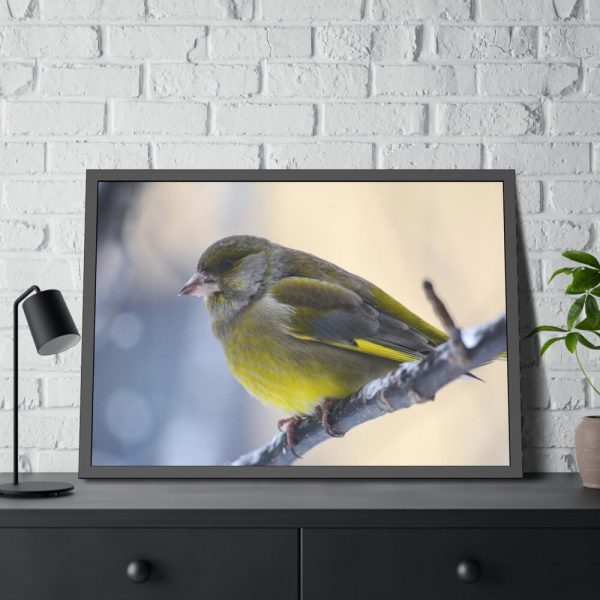 93855-143.jpg Goldfinch Bird Framed Poster