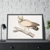 93855-167.jpg Coromandel Owl by John Edward Gray Framed Poster