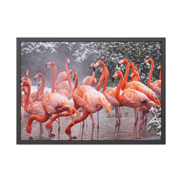 93855-172.jpg American Flamingo by Mehgan Murphy Framed Poster
