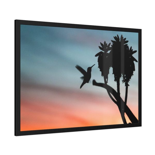 Hummingbird Framed Poster