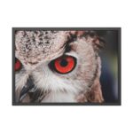An Owl With Red Eyes Framed Poster - Image 5