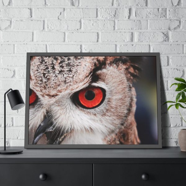 93855-207.jpg An Owl With Red Eyes Framed Poster