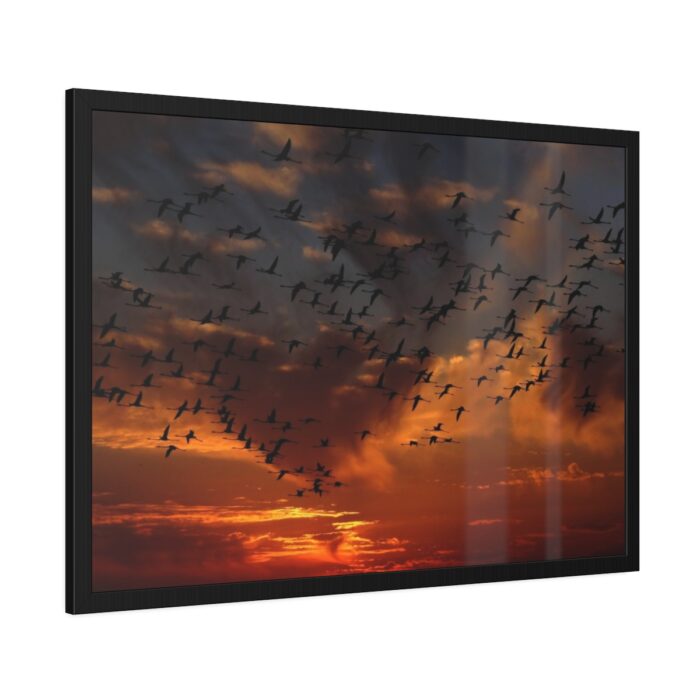 Flamingos Swarm Birds Nature Framed Poster - Image 6