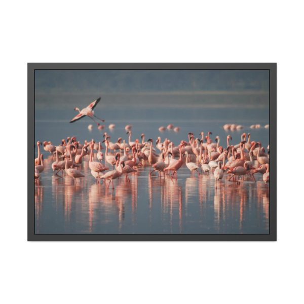 93855-232.jpg Flamingos in Africa Framed Poster