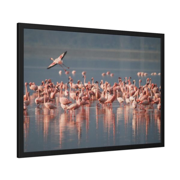 93855-233.jpg Flamingos in Africa Framed Poster