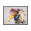 93855-236.jpg Hornbill Bird Framed Poster