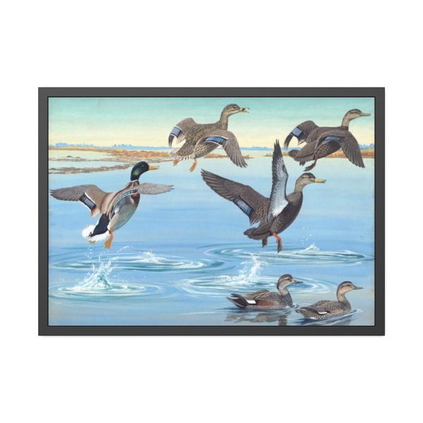 93855-448.jpg Vintage Ducks Art Framed Poster