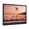 93855-97.jpg Bird Flying over Turkey Framed Poster