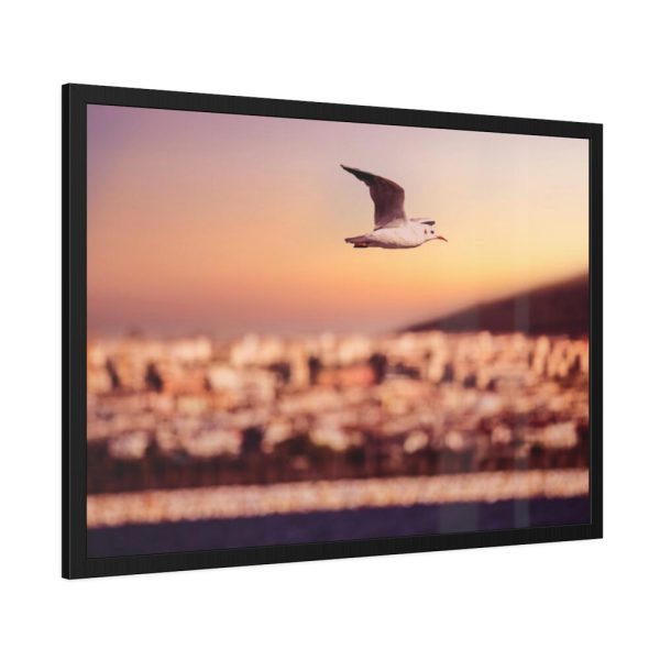 93855-97.jpg Bird Flying over Turkey Framed Poster