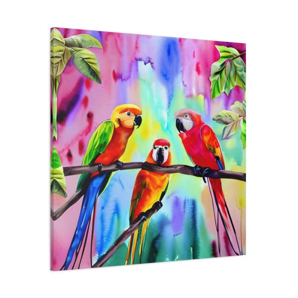 Three Red Parrot Tropical Birds Standard Canvas